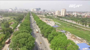 Chặt hạ, di chuyển 1.300 cây xanh, Bí thư Hà Nội nói: 'Tiếc nhưng buộc phải làm'