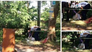 Video: Đã có 2 người chết nghi do nắng nóng kỷ lục ở Hà Nội