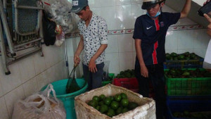 Kinh hoàng cảnh ngâm bơ ngập trong thùng hóa chất