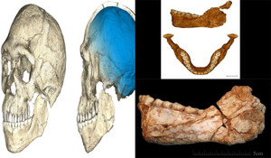 Tiết lộ bằng chứng chấn động về nguồn gốc nhân loại