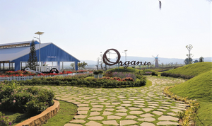 Vinamilk 6 năm liền lọt top '50 Công ty kinh doanh hiệu quả nhất Việt Nam'