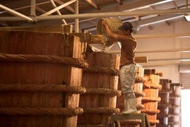 Nam Ngư – Nhãn hiệu gia vị hàng đầu được tin chọn bởi hàng triệu gia đình Việt