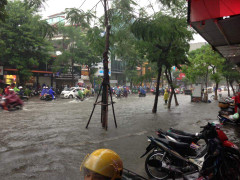 Video: Hà Nội phố biến thành sông, giao thông tê liệt