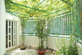 Mẹo siêu đơn giản làm mát căn nhà bạn ngày nắng nóng