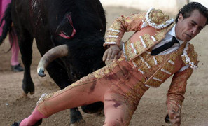 Video: Đấu sĩ lừng danh bị bò tót húc chết