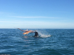 Video: Xem hải cẩu lông mao hỗn chiến bạch tuộc khổng lồ