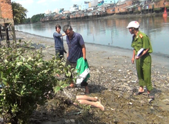 Đi cắt cỏ, tá hỏa phát hiện thi thể người phụ nữ đang phân hủy
