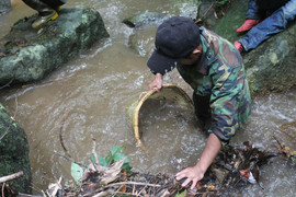 Video: Kỳ thú theo chân người dân Tây Nguyên săn nòng nọc