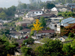 Bố chồng Hàn Quốc đâm chết con dâu người Việt