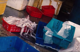 Nhẫn tâm đầu độc người dân bằng công nghệ 'hô biến' mực thối bỏ đi thành mực trắng phau, tươi ngon