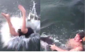 Thót tim khoảnh khắc nam thanh niên tay không bắt cá mập