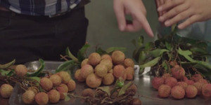 Làm sao để biết đâu là vải thiều 'chuẩn'?