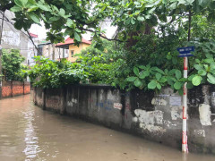 Video: Mưa lớn giữa trưa, đường phố Hà Nội ngập sâu