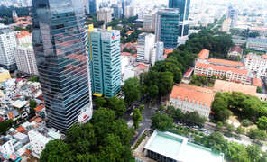 Sắp mất thêm hàng cây cổ thụ, người Sài Gòn tiếc nuối