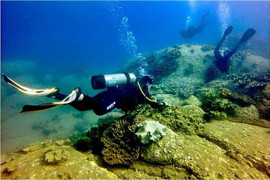 Khu vực đổ thải nhà máy nhiệt điện Vĩnh Tân có gì?