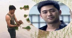 Video: Bảo Ngậu 'Người phán xử' trổ tài làm ruộng, cấy lúa