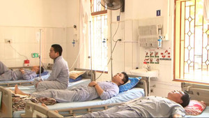 Hái nấm mọc trong vườn để ăn, 12 người ở Sơn La suýt mất mạng