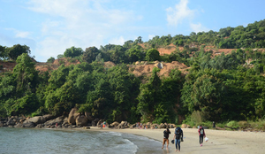 Đại biểu Quốc hội: Bảo tồn Sơn Trà sẽ 'đẻ' ra tiền bền vững