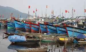 Hà Tĩnh kêu gọi tàu thuyền vào nơi neo đậu an toàn tránh bão số 2