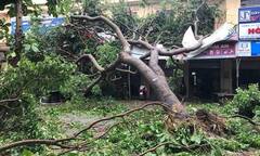 Một phụ nữ bị mái tôn đè chết trong cơn bão số 2
