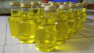 Công bố thành quả nghiên cứu dầu sacha inchi sản xuất tại Việt Nam