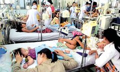 Cả nước có 14 người chết vì sốt xuất huyết, Hà Nội là 'điểm nóng'