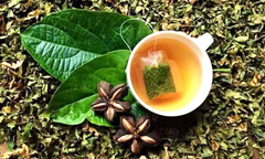 Thương mại hóa sản phẩm trà Sacha Inchi được sản xuất tại Việt Nam
