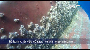 Cận cảnh tàu vỏ thép tróc sơn gỉ sét, hà bám dày đặc khiến ngư dân điêu đứng