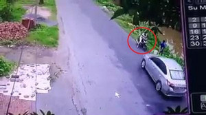 Thanh niên đứng xem câu cá ven đường, bị ô tô húc văng xuống kênh