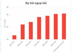 Mua thêm 1 tỷ USD, dự trữ ngoại hối Việt Nam lên hơn 42 tỷ USD