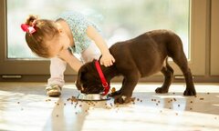 Bác sĩ khuyên trẻ ăn thực phẩm rơi trên nền nhà