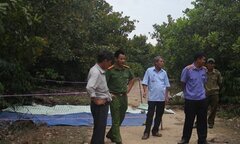 Trộm sầu riêng, bị chủ vườn chém chết: Thông tin mới nhất