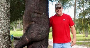 Cha nhanh trí bắn chết lợn rừng khổng lồ cứu con thoát chết