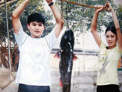 Sau mưa lũ, dân Nghệ An liên tục bắt được cá 'khủng'