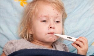 Dịch vụ lấy mẫu xét nghiệm tại nhà 'nóng' cùng mùa dịch sốt xuất huyết