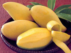 Lo xoài tẩm thuốc: Đây là bí quyết chọn xoài ngon và an toàn ai cũng phải biết