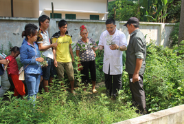 Bài thuốc trị bệnh về khớp 'Phong Thấp Hoàn'