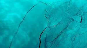 Hiểm họa từ vết nứt mới ở tảng băng lớn nhất lịch sử tách khỏi Nam Cực