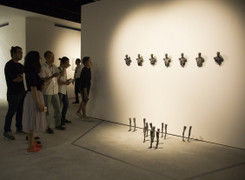 Phạm Đình Tiến – người 'biến thể' người