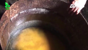 Hãi hùng hơn 1 tấn mỡ bẩn lẫn côn trùng đựng trong thùng phuy đục ngầu