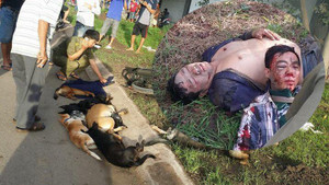 Trộm 7 con chó, 2 'cẩu tặc' bị dân đánh bất tỉnh tại Biên Hoà