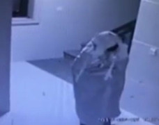 Video: Tên trộm kì quái giả làm ma khi phát hiện camera an ninh