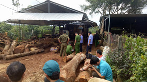 Vấp ngã trong lúc cưa gỗ, nam thanh niên bị máy cứa thiệt mạng