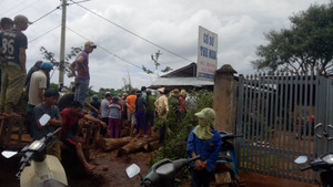 Ngã vào máy cưa gỗ, nam thanh niên thiệt mạng: Xưởng cưa hoạt động trái phép