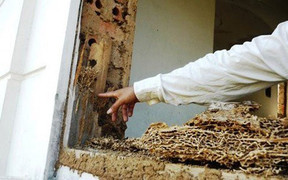 Cận cảnh khu 'biệt thự ma' 14 năm bỏ hoang ở Cửa Lò