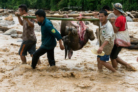 Ảnh: Cảnh tan hoang ở Mường La sau cơn thịnh nộ của thiên nhiên