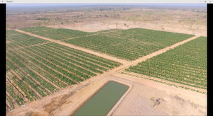 ‘Cuộc cách mạng’ nông nghiệp công nghệ cao ở Ea Súp