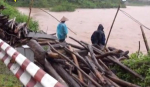 Rùng mình cảnh người dân Điện Biên liều lĩnh vớt củi bất chấp lũ dữ