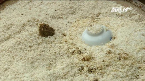 Người dân vùng lũ đối mặt với nạn đói