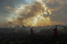 Đại tá quân đội Indonesia yêu cầu bắn người đốt rừng